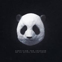 We're Never Coming Home